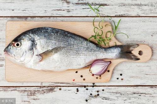 军人吃八瓜鱼视频,军人战士的独特味蕾体验