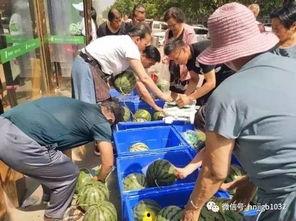 魏县水城吃瓜事件视频,一场引发热议的网络风波