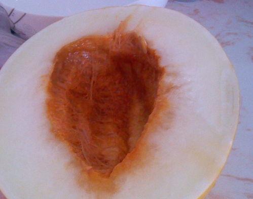 吃伊丽莎白瓜的视频,一饱口福的视觉盛宴