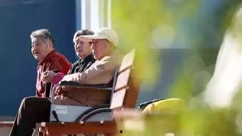 打工人吃瓜摸鱼视频,揭秘日常娱乐背后的生活态度