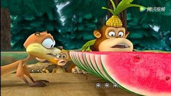 吃瓜搞笑动物视频素材