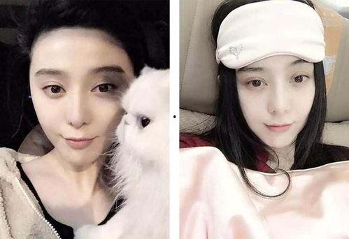 吃大瓜女明星视频大全下载,吃大瓜女明星视频大全下载精选集