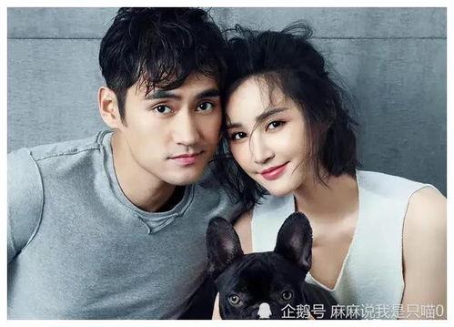 吃大瓜女明星视频大全下载,吃大瓜女明星视频大全下载精选集