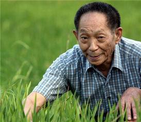 稻庄吃瓜视频全集在线观看,揭秘视频全集精彩瞬间