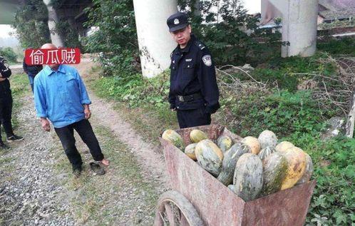 金乡网红吃瓜事件视频,一场网络狂欢背后的真相揭秘