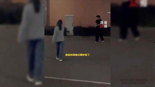 暗恋舍友吃瓜视频大全在线观看