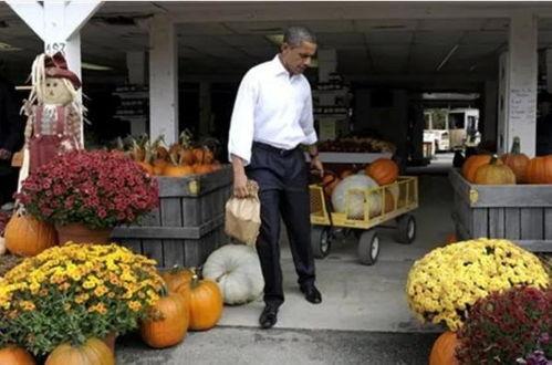 奥巴马吃瓜的视频,萌态十足引网友热议