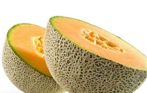 宠物吃哈密瓜好不好呢视频