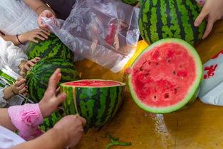 吃瓜视频大全网,揭秘娱乐圈幕后故事，带你领略明星生活百态