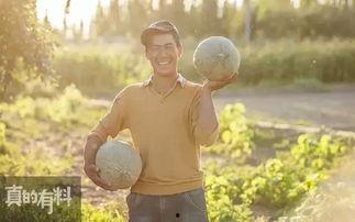 在新疆吃瓜视频怎么拍摄,如何拍摄一镜到底的吃瓜视频