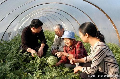 在新疆吃瓜视频怎么拍摄,如何拍摄一镜到底的吃瓜视频