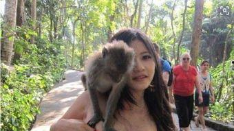 搞笑视频吃瓜像猴子女主,笑料百出，欢乐无限