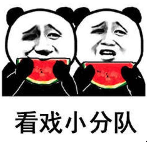 吃瓜的表情包视频,笑料横生的短视频盛宴