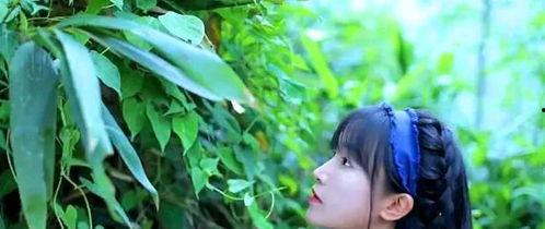 抖音田心山水吃瓜视频