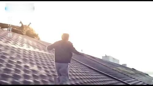 吃瓜群众围观水怪视频,吃瓜群众围观视频引发热议