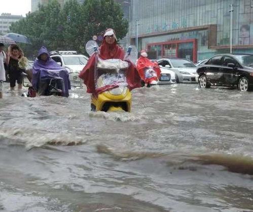 河南范县吃瓜事件视频,一场引发热议的网络风波