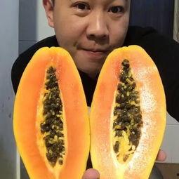 吃瓜吃到美食视频下载软件,揭秘热门美食视频下载神器