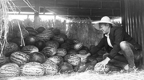 绍兴的吃瓜群众事件视频