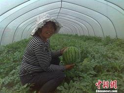 江苏淮安吃瓜事件视频,一场引发热议的网络视频风波