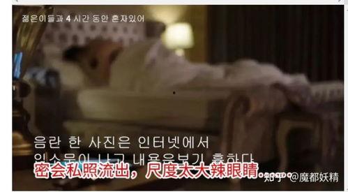 明星合集吃瓜视频下载,揭秘娱乐圈幕后故事