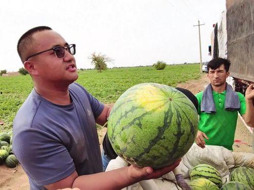 马预报最近吃瓜视频,揭秘娱乐圈幕后真相