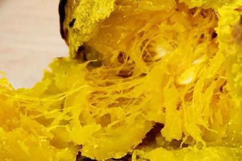 板栗小瓜怎么吃最好呢视频,板栗小瓜的多样美味吃法揭秘