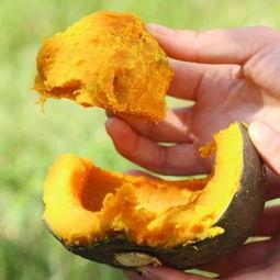 板栗小瓜怎么吃最好呢视频,板栗小瓜的多样美味吃法揭秘