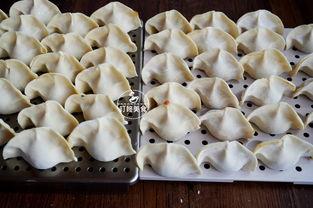 蒲瓜可包饺子吃吗视频,家常美味新尝试