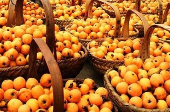 枇杷视频吃瓜专区,吃瓜专区，带你领略热门话题的趣味瞬间