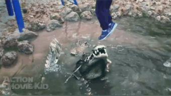 香格里拉吃瓜事件视频,一场引发热议的网络视频风波