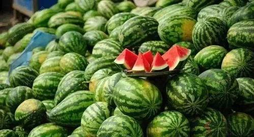 三妹吃瓜西瓜甜不甜视频,揭秘甜蜜瓜果的秘密