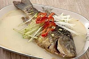 天天吃瓜吃鱼视频大全