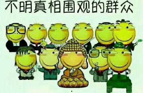 吃瓜群众贴画视频大全,趣味横生的视觉盛宴