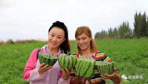 小七吃瓜群众是真的吗视频,视频背后的真实故事