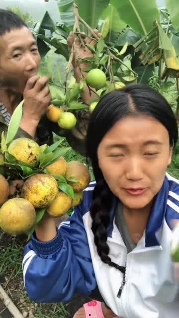 翠花表姐吃佛手瓜视频播放,视频播放引关注