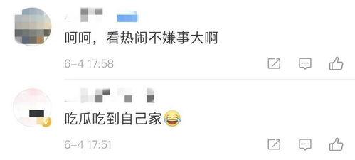 转发吃瓜视频判刑案例,一案例解析网络传播的法律边界