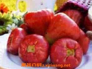 莲雾视频吃瓜事件,吃瓜群众热议的神秘事件揭秘