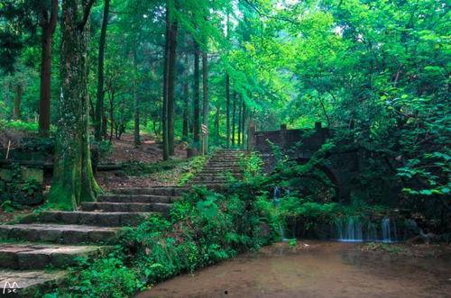 莫干山吃瓜视频,揭秘网红山居生活背后的真实滋味