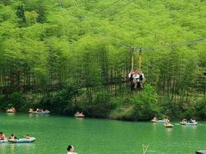 莫干山吃瓜视频,揭秘网红山居生活背后的真实滋味