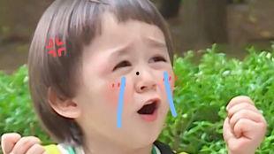 本特利吃瓜的视频,揭秘娱乐圈幕后真相