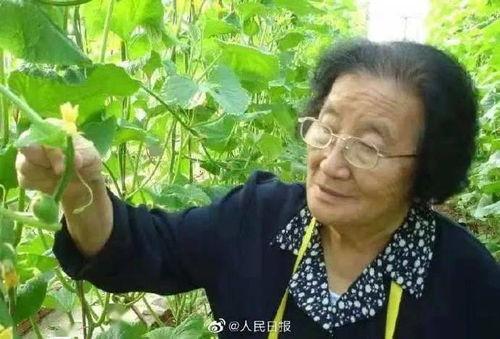 吃瓜小熊云南人视频下载,探寻云南美食与文化，视频下载带你一探究竟